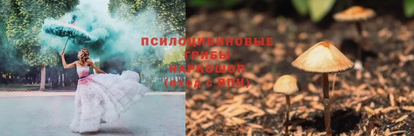 метадон Ладушкин