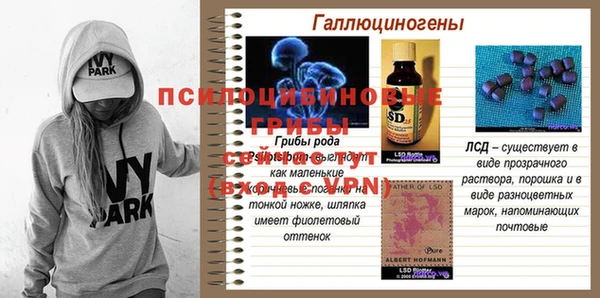 метадон Ладушкин