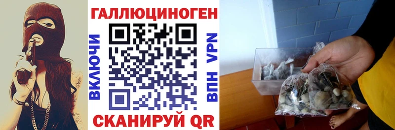 Купить закладки  Пущино  Псилоцибиновые грибы прущие грибы 